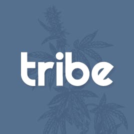Tribe-logo