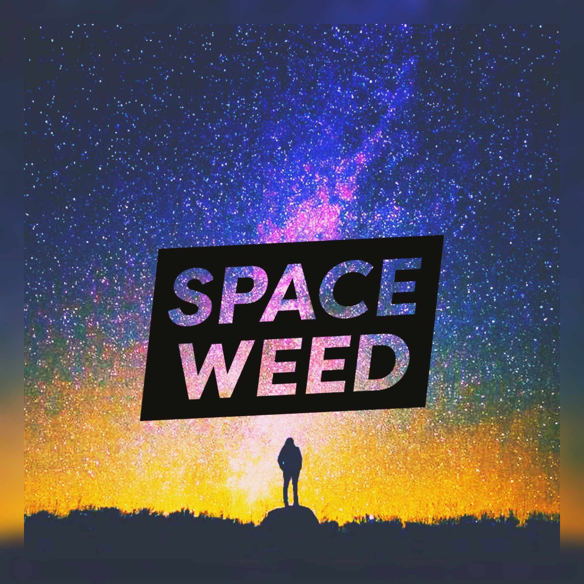 Space Weed by CannaGenesis-logo