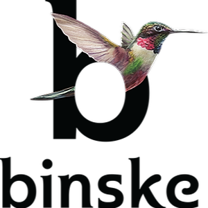 binske-logo