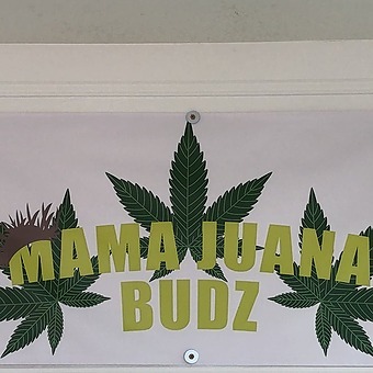 MAMA JUANA BUDZ Dispensary logo