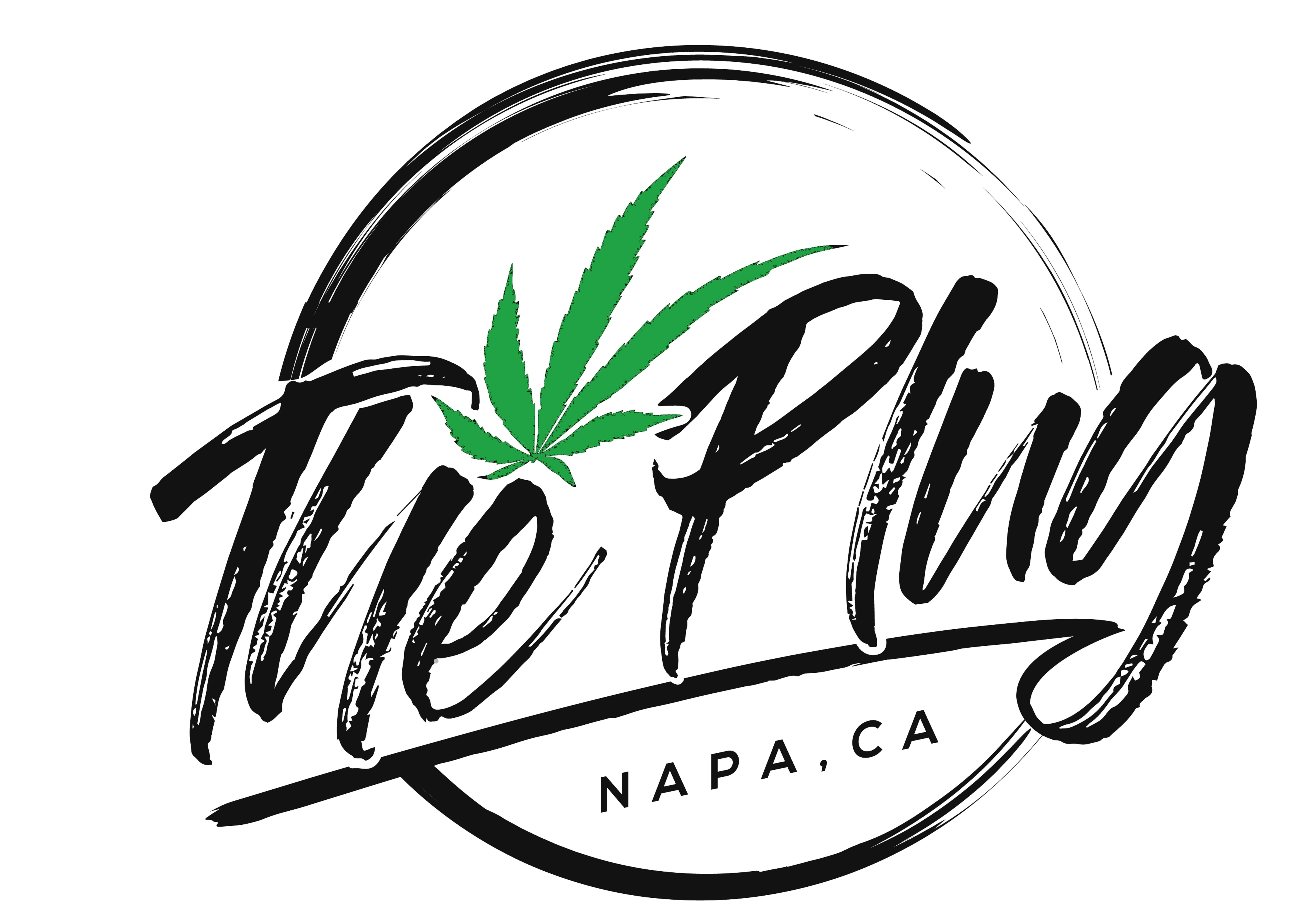 The Plug - Napa logo