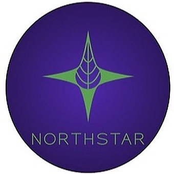 Northstar-logo