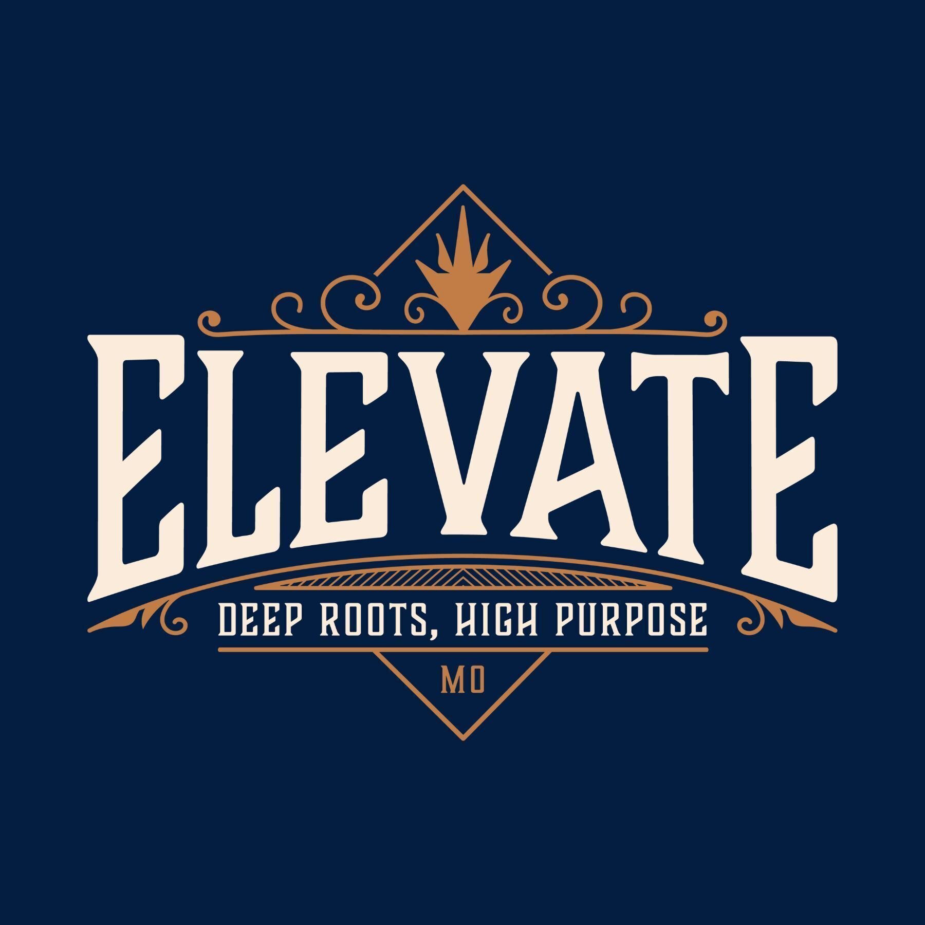 Elevate Cannabis - Farmington logo