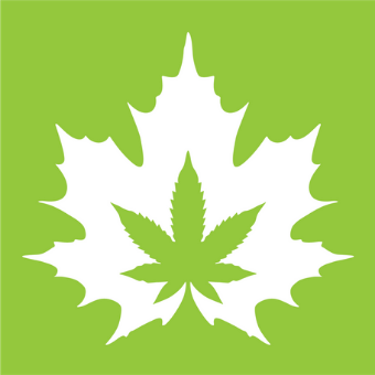 Fire & Flower |Cannabis Store logo