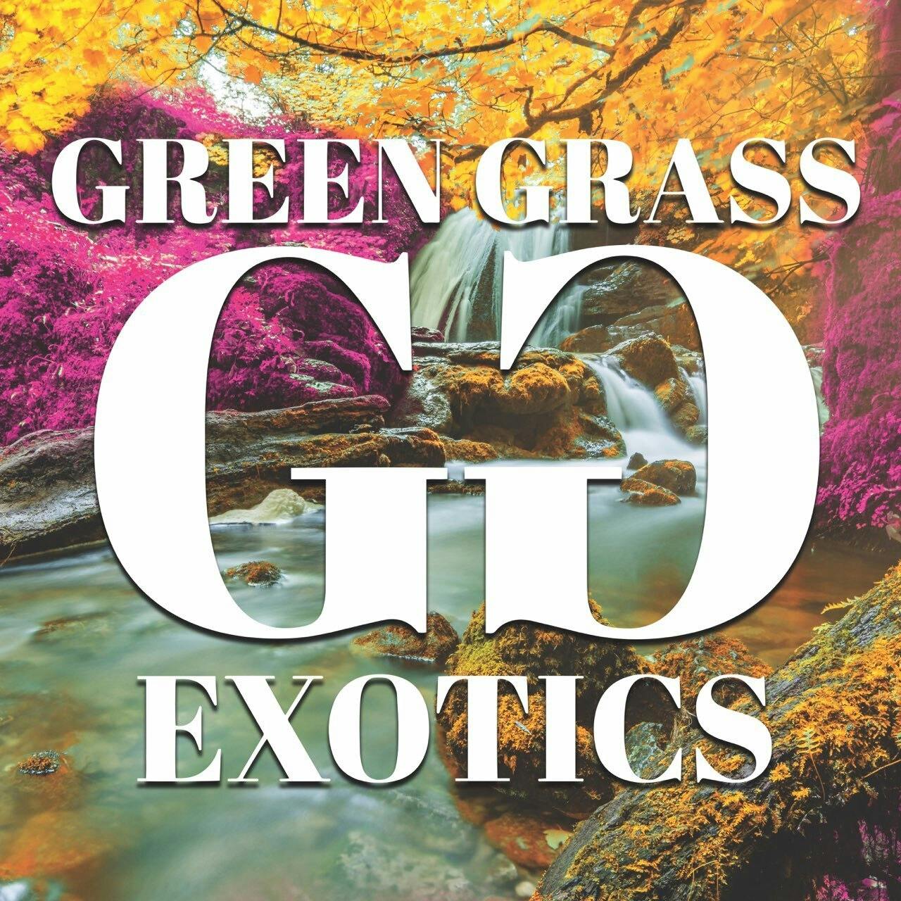 Green Grass Exotics LLC logo
