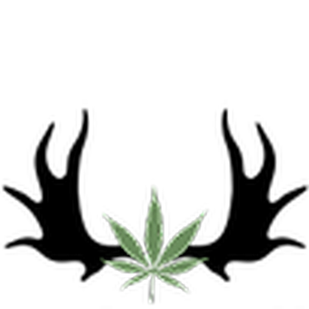 Moosehead Medicine-logo