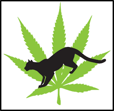 Cougar Cannabis logo