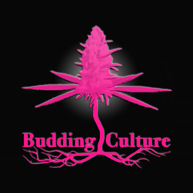 Budding Culture logo