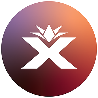 BoomX Cannabis Co logo