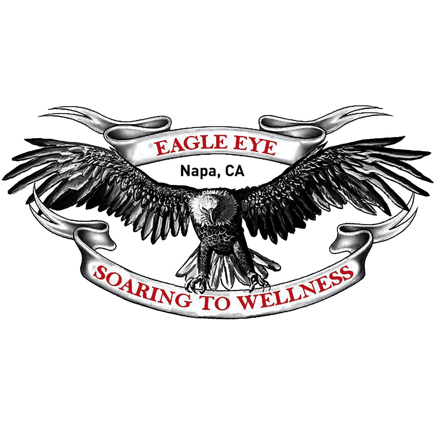 Eagle Eye - Napa logo