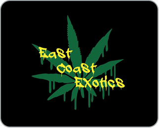 East Coast Exotics