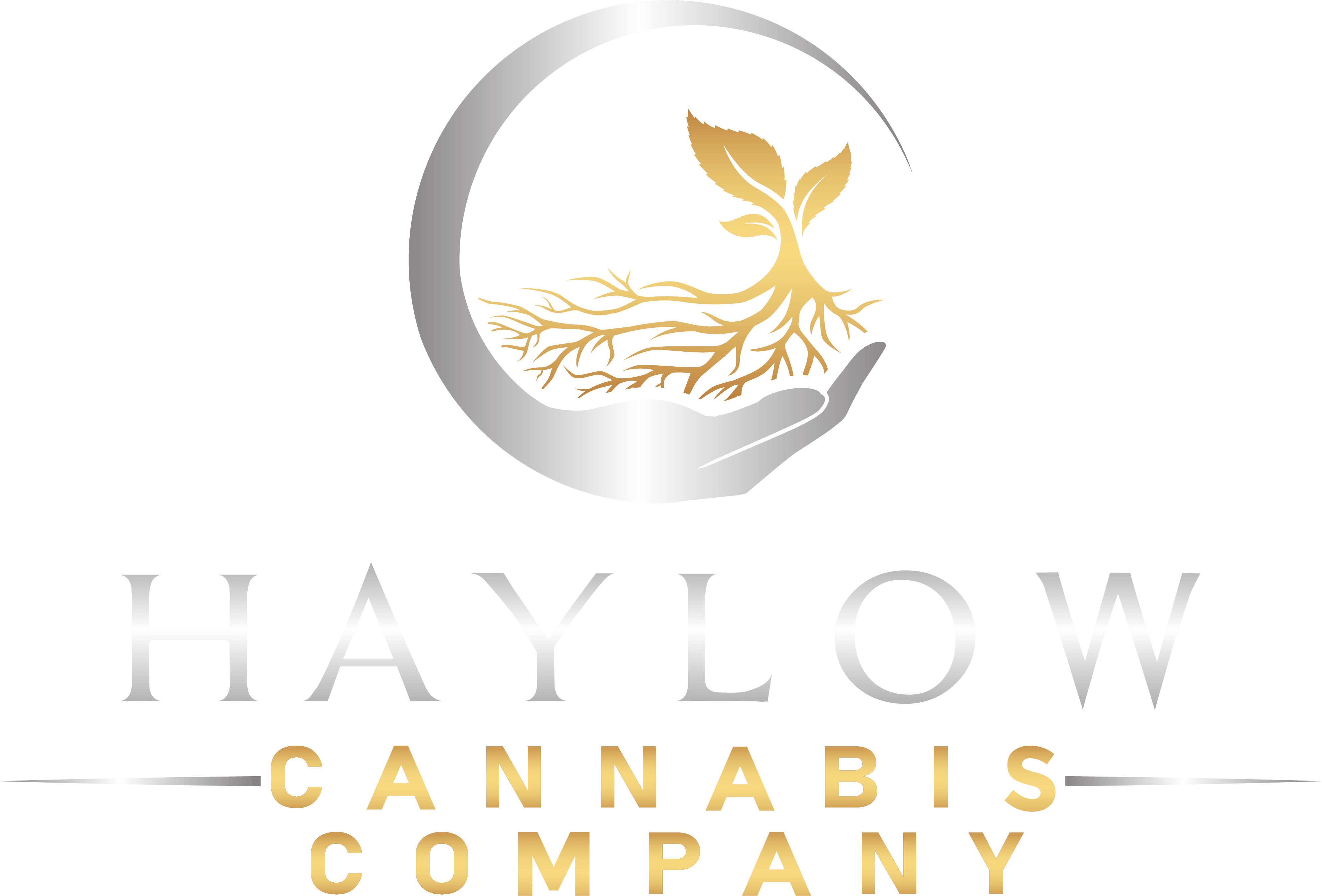 Haylow Cannabis Company