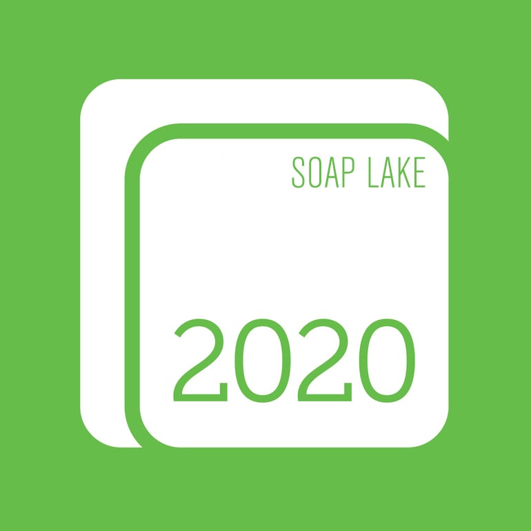 2020 Solutions Soap Lake logo