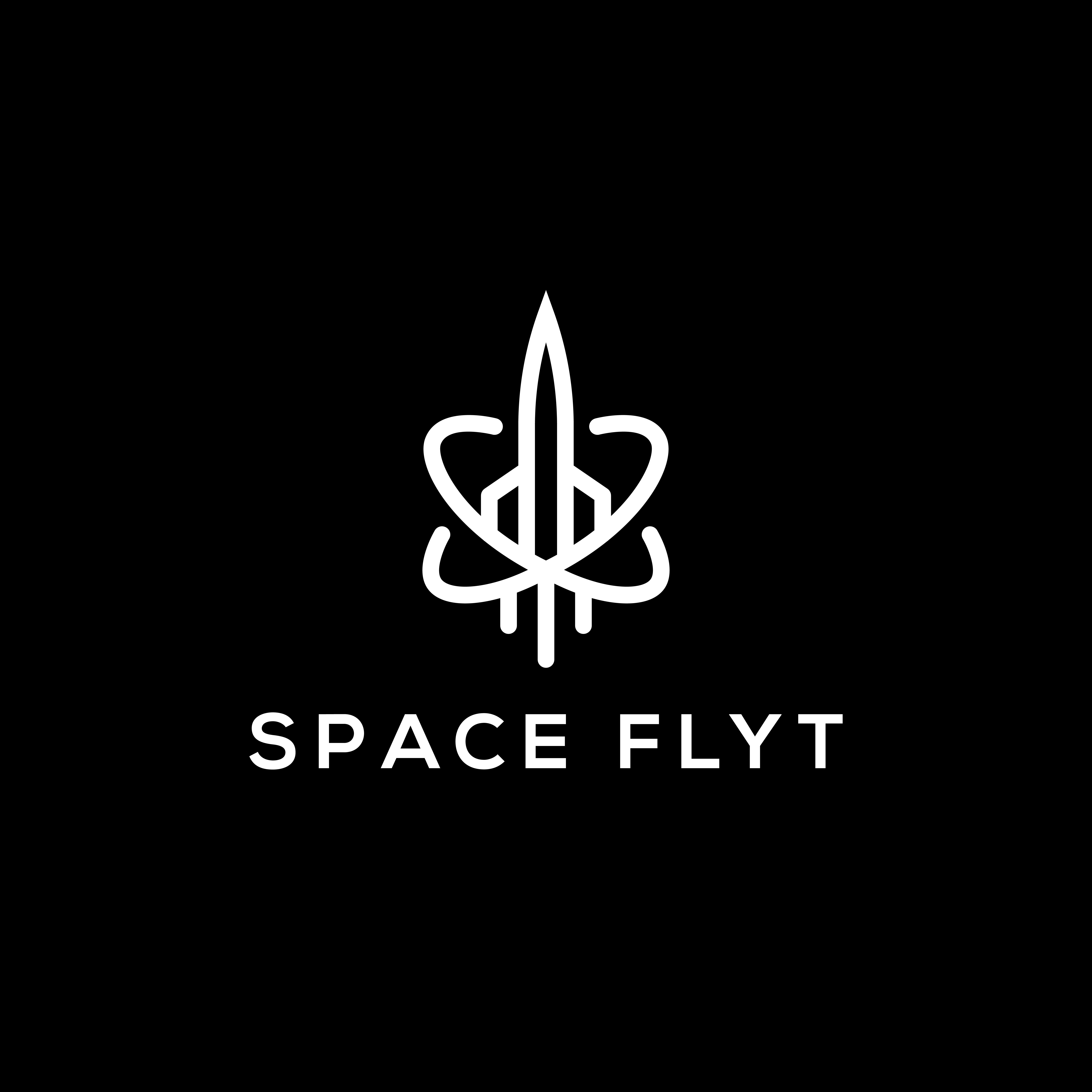 Space Flyt logo