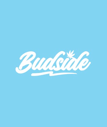 Budside - Cannabis Store-logo