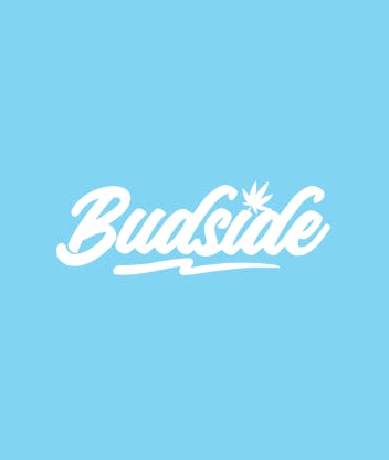 Budside - Cannabis Store logo