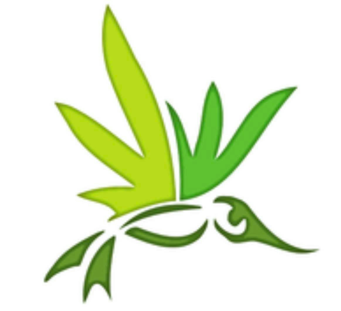 Altitude Organic Medicine logo