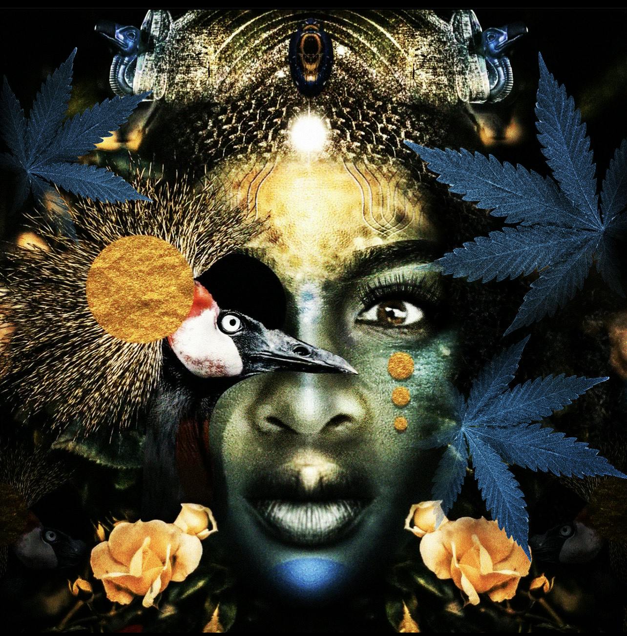 Proud Mary Cannabis logo