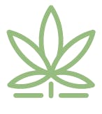 Northern Budzz logo