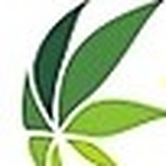 Trenton Cannabis logo