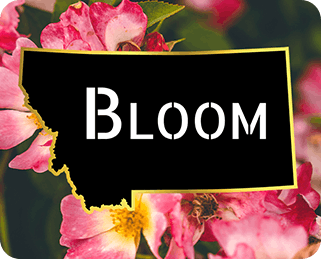 Blooms to Heirlooms logo