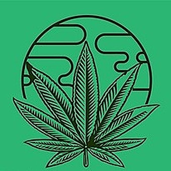 Pluto Cannabis logo