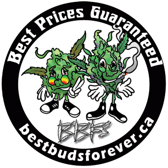 Best Buds Forever logo