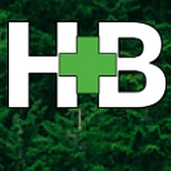 Helena Buds-logo