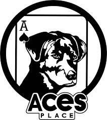 Ace's Place logo