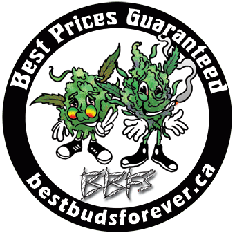 BBF's - Best Buds Forever - Queen West