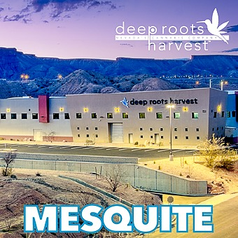 Deep Roots Harvest Dispensary-logo