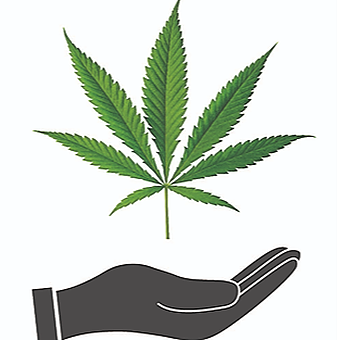 The Green Den Retail Cannabis logo