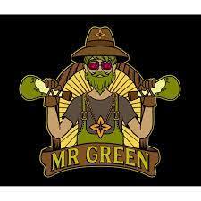Mr Green - Edmond logo