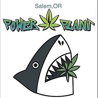 Power Plant Salem logo