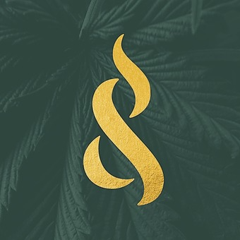 Seed & Stone logo