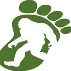 Bigfoot Wellness-logo
