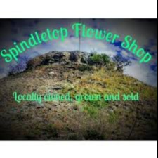 Spindletop Flower Shop logo