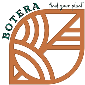 Botera logo