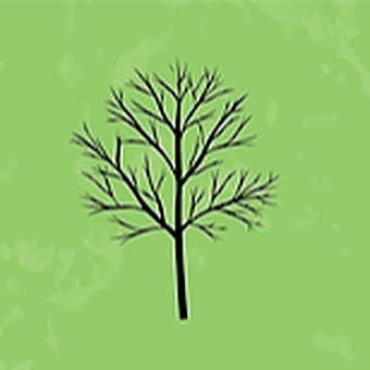 Trees Cannabis logo