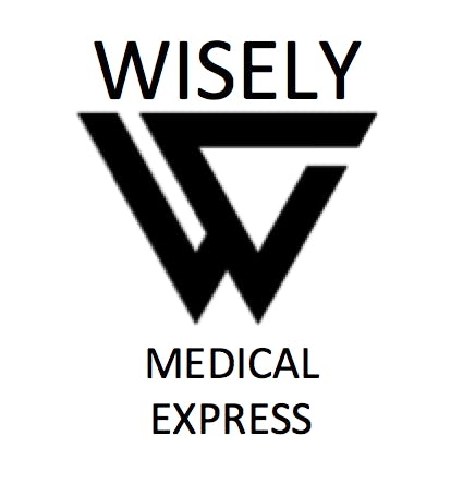Wisely Express - South Berwick