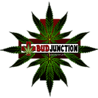Bud Junction logo