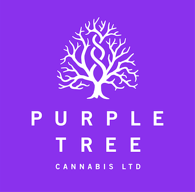 Purple Tree Cannabis logo