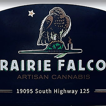 Prairie Falcon Cannabis Dispensary logo