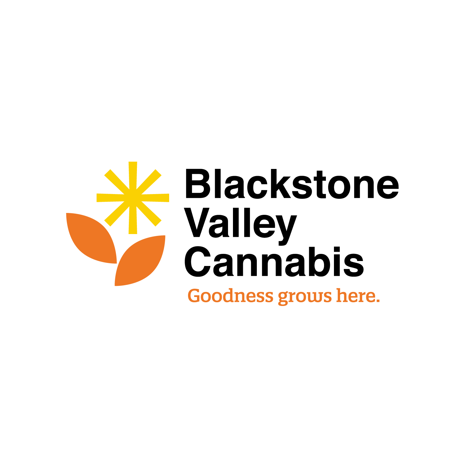 Blackstone Valley Cannabis-logo