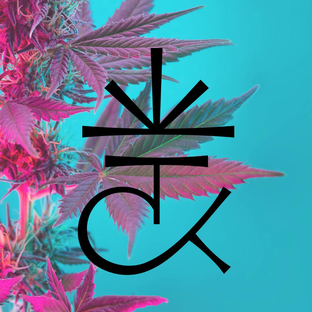 Cannabis Kingdom Dispensary logo