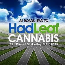 Hadleaf Cannabis Dispensary Hadley
