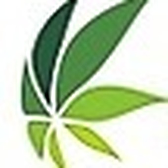 Arnprior Cannabis logo