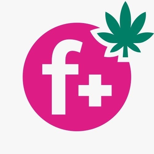 Flamingo + Cannabis Shop | Portage | logo