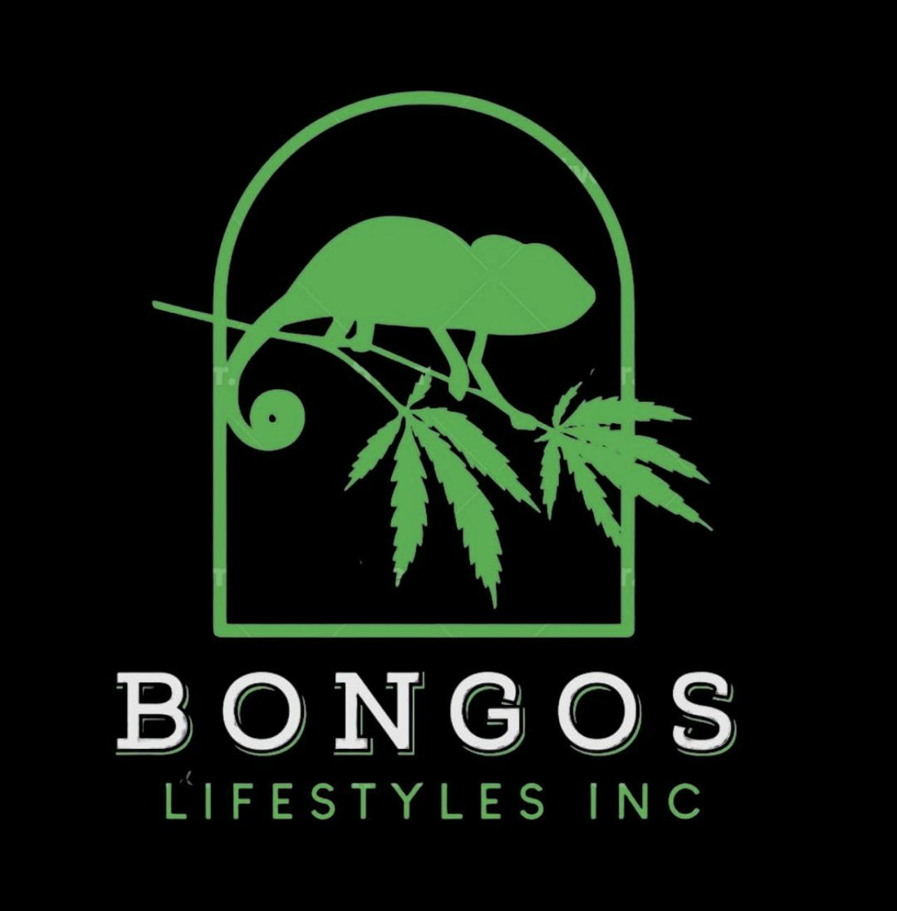 Bongos Lifestyles (Temporarily Closed) logo