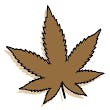 Modern Day Cannabis logo